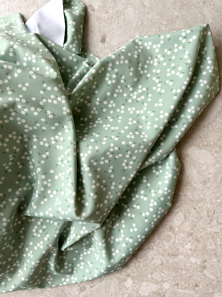 Green Daisy