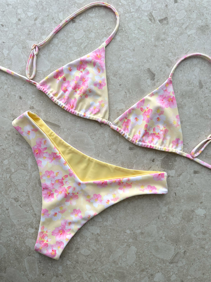 Hawaii x Evelina S