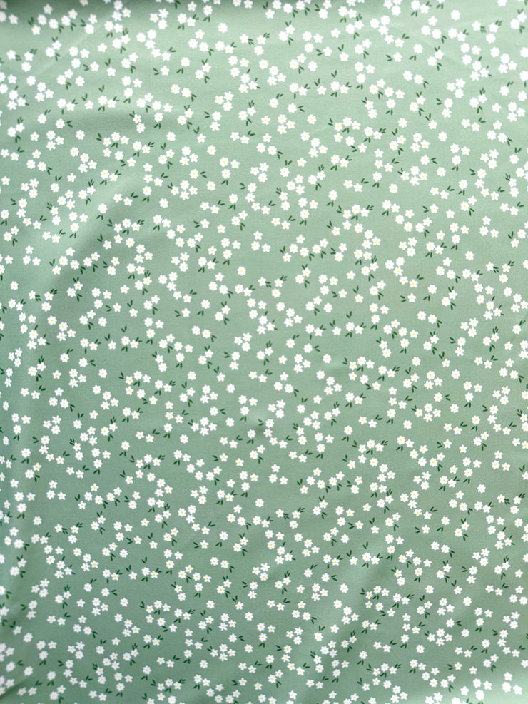Green Daisy