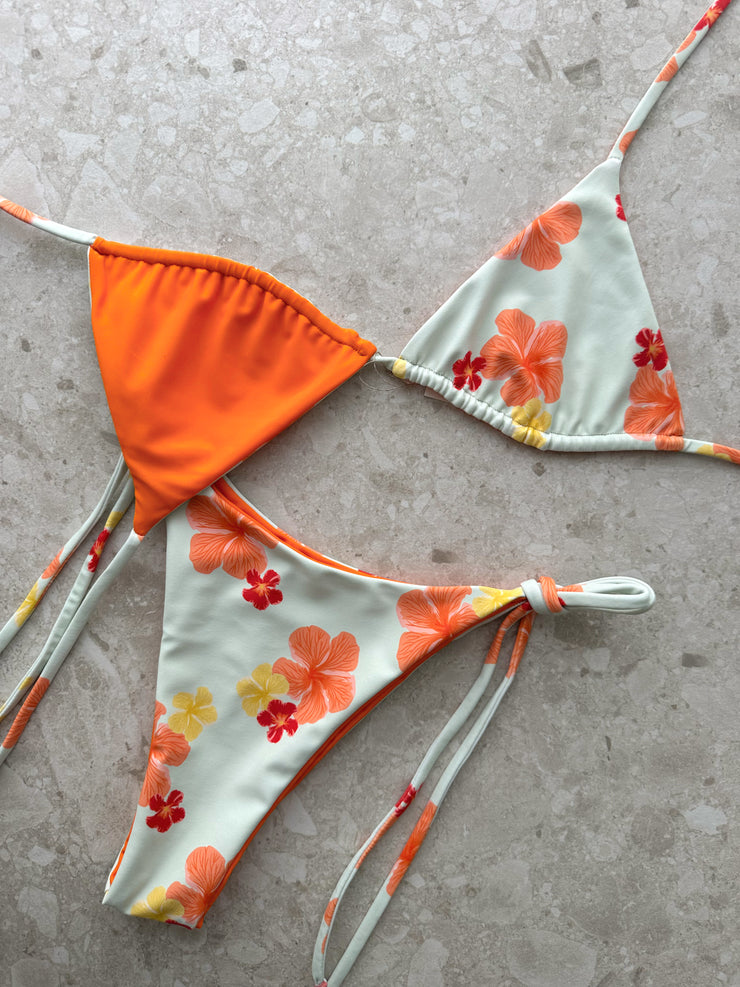 Hawaii x Tie Up S